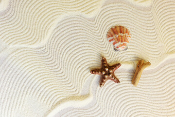 summer beach background with textured sand and seashells. Copy space