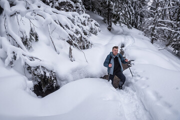 Naklejka na ściany i meble hiker waks in the snowy forest