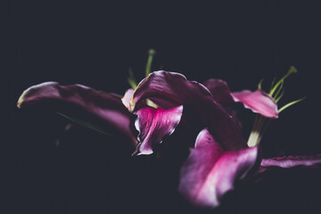 Photography is emptying the image rather than filling it.
By emptying the world visible in the square frame, the photo will be complete.