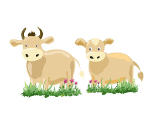 Cow and calf in the grass