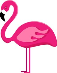 Pink flamingo illustration