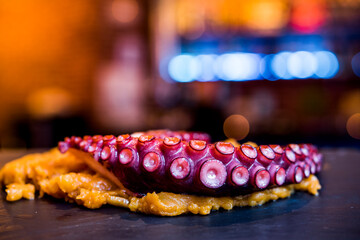 prepared octopus dish.arm detail of an octopus