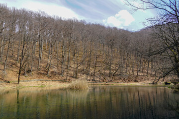 Obraz premium Early spring evening in the woods. Forest lake surrounded by trees. Picture with selective focus. 