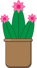 Cactus in a pot illustration