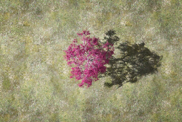Violet tree on the green field. Top view. 3d illustration