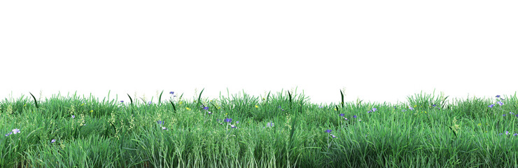 Young green grass isolated on white background. 3d illustration