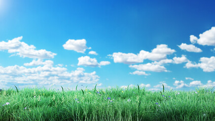 Young green beautiful grass against the sky. 3d illustration