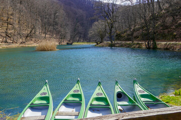 Five rowing boats on the lake overlook the idyllic green lake.