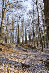 Fototapeta premium Sonnenaufgang nach einem leichtem Schneefall im winter