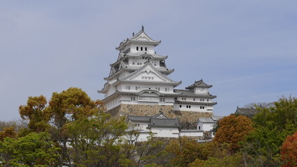 Cherry Blossom in Himejijo, Japan