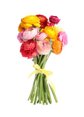 Beautiful bouquet of ranunculus flowers isolated on white