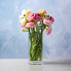 Beautiful ranunculus flowers in glass vase on table
