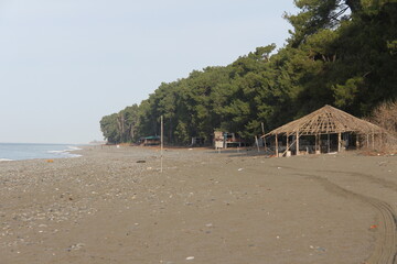 Beautiful view on the beach in the area of Pitsunda