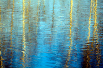 image of water tree reflection