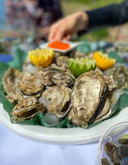 Plateau d'huitres sur une table de pique-nique, Gironde