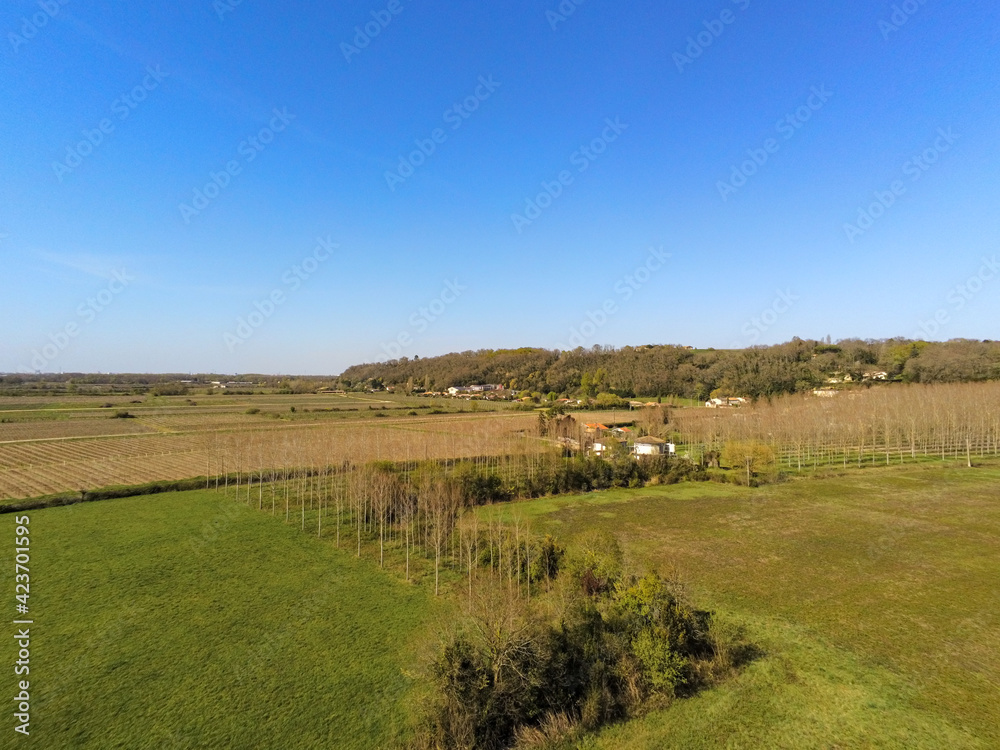 Sticker Prairie vue du ciel, Gironde