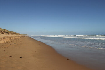 Barwon heads beach and sandy foreshore