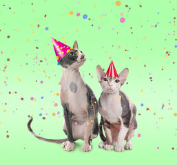 Adorable cats with party hats on green background