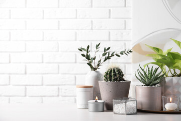 Beautiful Scindapsus, Aloe and Cactus in pots with decor on grey table against white brick wall, space for text. Different house plants