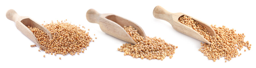 Set with mustard seeds on white background. Banner design