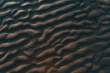 Sand Texture 