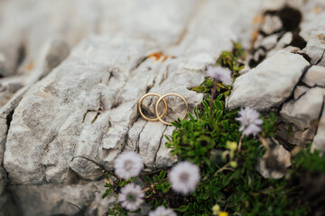 Two engagement gold rings on na stand on a grey stone with green grass and flowers.