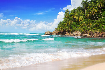 Naklejka na ściany i meble Tropical island landscape, turquoise sea water, ocean waves, green palm trees, yellow sand beach, blue sunny sky white clouds, beautiful nature, seascape view, summer holidays, vacation, travel banner
