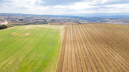 aerial view of vineyard fields in la rioja, Spain