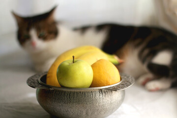 Antique bowl with bananas, apples and lemons. Tabby cat in the background. Selective focus.