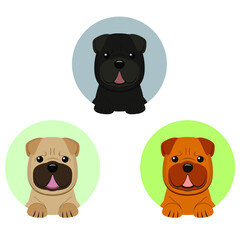 Shar Pei icon. Isolated vector illustration.