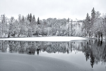 Elbingstalteich im Selketal Harz Winter