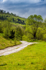 Fototapeta na wymiar a rural road in the carpathian mountains, national park Skolivski beskidy, Lviv region of Western Ukraine