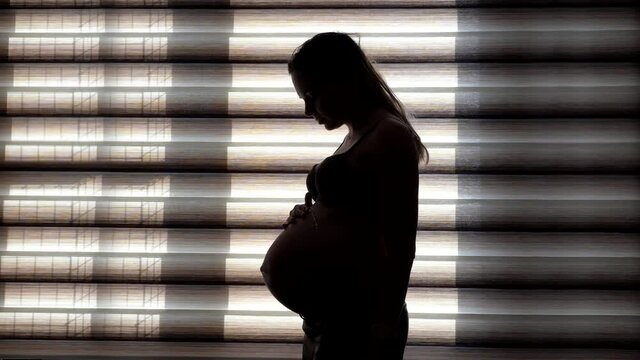 Pregnant girl strokes the belly, standing by the blinds window.