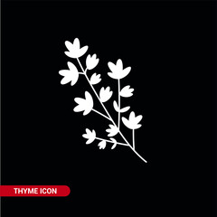 Vector image. Thyme icon. Medicinal herb.