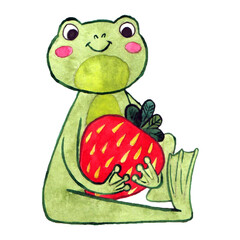 Hand drawn Illustration Frog with Strawberry on a White Background.
