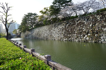 春　駿府城
