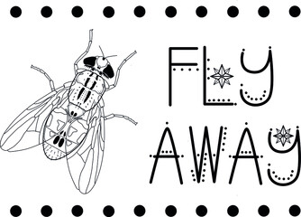 Line art with fly,  lettering,  illustration, Fly Away.
