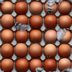 Seamless pattern from a package of chicken eggs in a cardboard box from above. Minsk. Belarus.