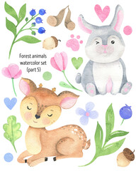 Watercolor funny forest animals clipart. Woodland baby animals illustrations, cute cartoon. Forest decor elements, wild life set, isolated. Deer, hare, oak, acorn, blueberry, trail.