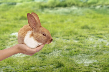 Happy Easter