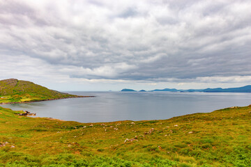 Obraz premium Wild Atlantic Way, Ring of Kerry, County Kerry, Ireland