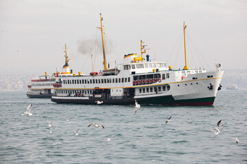 Naklejka premium white modern boat and seagulls flying in a see bay near Istanbul