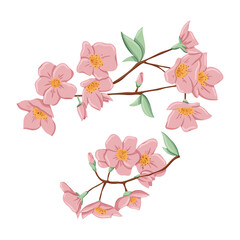 Fresh pink flowers on branch with leaves. Vector hand drawn illustration of spring flowers.