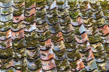 Terracotta roof tiles with moss coating.