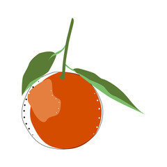 Tangerine illustration isolated vector. Orange color. Fresh fruits. Healthy food. Design element.