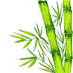 Green juicy Bamboo leaves branches stem decorative frame with place for text.