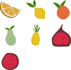 vector illustration set of fruits