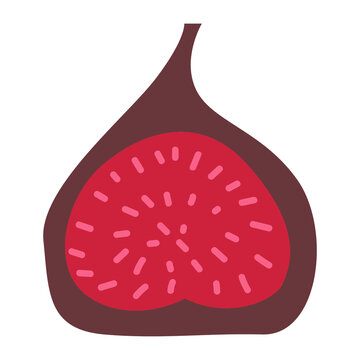 vector illustration fig 