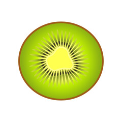 colorful green kiwi in a cut on a white background. vector illustration