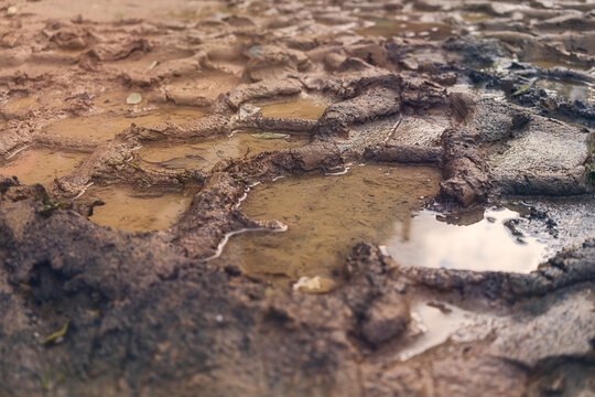 close up of tire tracks in the mud